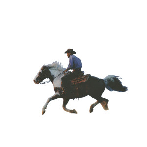 Bucking Cowboy Sunset Vinyl Car Decal Sticker – Waterproof & UV-Resistant 3.4133333333333336" Bucking Cowboy Sunset Vinyl Car Decal Sticker – Waterproof & UV-Resistant 3.4133333333333336"