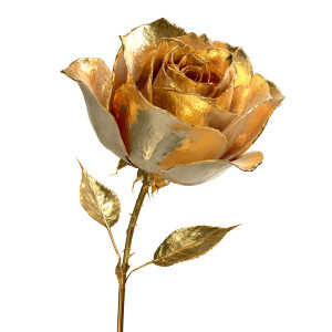 Gold Roses Vinyl Car Decal Sticker – Waterproof & UV-Resistant 3.4133333333333336" Gold Roses Vinyl Car Decal Sticker – Waterproof & UV-Resistant 3.4133333333333336"