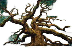Angel Oak Tree Vinyl Car Decal Sticker – Waterproof & UV-Resistant 2.986666666666667"