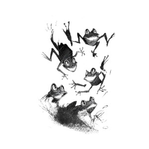 Frolicking Frogs Vinyl Car Decal Sticker – Waterproof & UV-Resistant 3.4133333333333336"