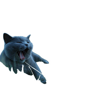 Blue Cat Yawning Vinyl Car Decal Sticker – Waterproof & UV-Resistant 3.4133333333333336"