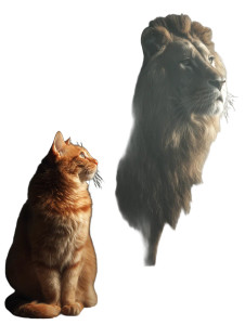 Ginger Cat'S Shadow Vinyl Car Decal Sticker – Waterproof & UV-Resistant 8.213333333333333" Ginger Cat'S Shadow Vinyl Car Decal Sticker – Waterproof & UV-Resistant 8.213333333333333"