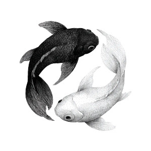 Yin Yang Fishes Vinyl Car Decal Sticker – Waterproof & UV-Resistant 3.4133333333333336"