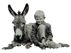 Boy With Donkey Vinyl Car Decal Sticker – Waterproof & UV-Resistant 6.1866666666666665"