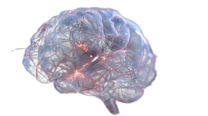 Glowing Neural Network V3 Vinyl Car Decal Sticker – Waterproof & UV-Resistant 2.72"