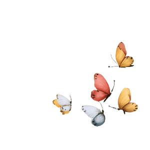 Watercolor Butterflies V2 Vinyl Car Decal Sticker – Waterproof & UV-Resistant 3.4133333333333336" Watercolor Butterflies V2 Vinyl Car Decal Sticker – Waterproof & UV-Resistant 3.4133333333333336"