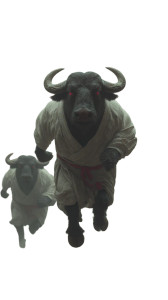 Buffalo Yokai Sprint Vinyl Car Decal Sticker – Waterproof & UV-Resistant 9.706666666666667"