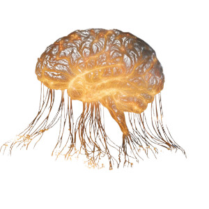 Glowing Mycelial Network Vinyl Car Decal Sticker – Waterproof & UV-Resistant 3.4133333333333336"