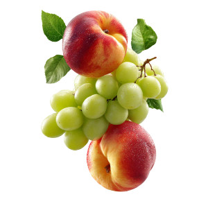 Floating Fruits Clash Vinyl Car Decal Sticker – Waterproof & UV-Resistant 3.4133333333333336"