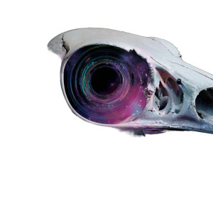 Biomechanical Skull Eye Vinyl Car Decal Sticker – Waterproof & UV-Resistant 3.4133333333333336"