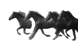 Wild Mustangs Motion Vinyl Car Decal Sticker – Waterproof & UV-Resistant 2.773333333333333