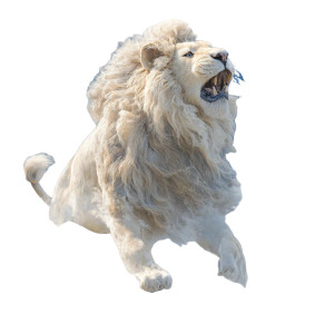 Majestic Roaring Lion V4 Vinyl Car Decal Sticker – Waterproof & UV-Resistant 3.4133333333333336"
