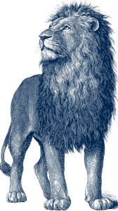 Vintage Lion Illustration Vinyl Car Decal Sticker – Waterproof & UV-Resistant 9.706666666666667"