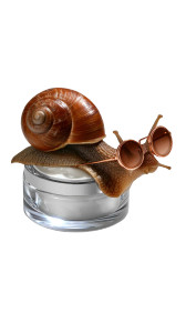 Luxury Snail Skincare Vinyl Car Decal Sticker – Waterproof & UV-Resistant 9.706666666666667"