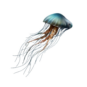 Futuristic Glowing Jellyfish Vinyl Car Decal Sticker – Waterproof & UV-Resistant 6.826666666666667" Futuristic Glowing Jellyfish Vinyl Car Decal Sticker – Waterproof & UV-Resistant 6.826666666666667"