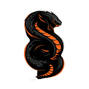 Viper Basketball Logo Vinyl Car Decal Sticker – Waterproof & UV-Resistant 3.4133333333333336" Viper Basketball Logo Vinyl Car Decal Sticker – Waterproof & UV-Resistant 3.4133333333333336"