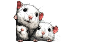 Funny Rat Family Vinyl Car Decal Sticker – Waterproof & UV-Resistant 5.12"
