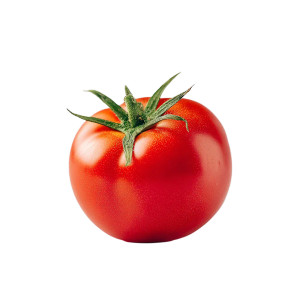 Tomato Side View Vinyl Car Decal Sticker – Waterproof & UV-Resistant 6.826666666666667"