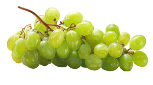 Green Grapes V4 Vinyl Car Decal Sticker – Waterproof & UV-Resistant 5.4