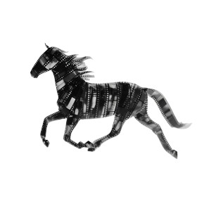 Film Strip Horse Vinyl Car Decal Sticker – Waterproof & UV-Resistant 3.4133333333333336"