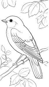Bird For Coloring Vinyl Car Decal Sticker – Waterproof & UV-Resistant 9.706666666666667" Bird For Coloring Vinyl Car Decal Sticker – Waterproof & UV-Resistant 9.706666666666667"