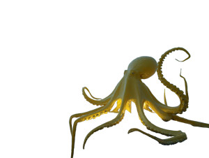 Giant Yellow Octopus Vinyl Car Decal Sticker – Waterproof & UV-Resistant 6.1866666666666665"