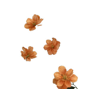 Orange Flower V2 Vinyl Car Decal Sticker – Waterproof & UV-Resistant 6.826666666666667"