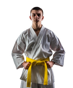 Karate Warrior Vinyl Car Decal Sticker – Waterproof & UV-Resistant 8.0"