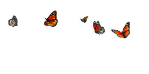 Butterflies And Wildflowers Vinyl Car Decal Sticker – Waterproof & UV-Resistant 5.12" Butterflies And Wildflowers Vinyl Car Decal Sticker – Waterproof & UV-Resistant 5.12"