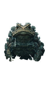 Giant Barnacle Toad Vinyl Car Decal Sticker – Waterproof & UV-Resistant 4.8533333333333335" Giant Barnacle Toad Vinyl Car Decal Sticker – Waterproof & UV-Resistant 4.8533333333333335"