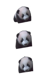 Panda Cub Playing Vinyl Car Decal Sticker – Waterproof & UV-Resistant 4.8533333333333335" Panda Cub Playing Vinyl Car Decal Sticker – Waterproof & UV-Resistant 4.8533333333333335"