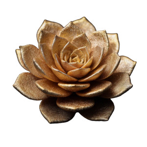 Golden Succulent Vinyl Car Decal Sticker – Waterproof & UV-Resistant 6.826666666666667"