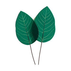 Stylized Tree Leaves Vinyl Car Decal Sticker – Waterproof & UV-Resistant 3.4133333333333336"