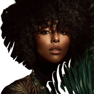 Afro Beauty Vinyl Car Decal Sticker – Waterproof & UV-Resistant 3.4133333333333336" Afro Beauty Vinyl Car Decal Sticker – Waterproof & UV-Resistant 3.4133333333333336"