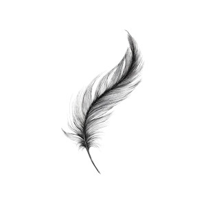 Floating Feather V2 Vinyl Car Decal Sticker – Waterproof & UV-Resistant 3.4133333333333336"