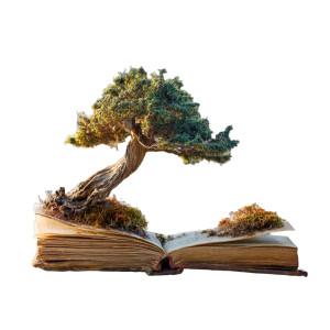 Tree Book Growth Vinyl Car Decal Sticker – Waterproof & UV-Resistant 6.826666666666667"