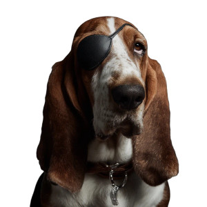 Basset Hound Eyepatch Vinyl Car Decal Sticker – Waterproof & UV-Resistant 3.4133333333333336"