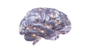 Metallic Brain Vinyl Car Decal Sticker – Waterproof & UV-Resistant 5.4