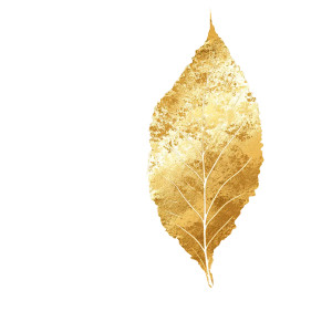 Gold Leaf Vector Vinyl Car Decal Sticker – Waterproof & UV-Resistant 3.4133333333333336"