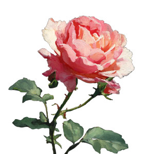 Rose V10 Vinyl Car Decal Sticker – Waterproof & UV-Resistant 3.4133333333333336" Rose V10 Vinyl Car Decal Sticker – Waterproof & UV-Resistant 3.4133333333333336"