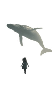 Girl And Sky Whale V2 Vinyl Car Decal Sticker – Waterproof & UV-Resistant 9.706666666666667"