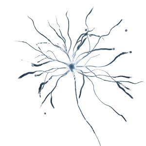 Minimalistic Neuron Vinyl Car Decal Sticker – Waterproof & UV-Resistant 3.4133333333333336" Minimalistic Neuron Vinyl Car Decal Sticker – Waterproof & UV-Resistant 3.4133333333333336"