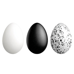 Chicken Egg Trio Vinyl Car Decal Sticker – Waterproof & UV-Resistant 6.826666666666667"