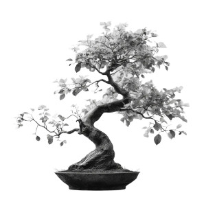 Hyper Realistic Bonsai Vinyl Car Decal Sticker – Waterproof & UV-Resistant 3.4133333333333336" Hyper Realistic Bonsai Vinyl Car Decal Sticker – Waterproof & UV-Resistant 3.4133333333333336"