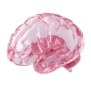 Glass Brain Vinyl Car Decal Sticker – Waterproof & UV-Resistant 3.4133333333333336"