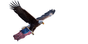 Celebrate Freedom Eagle Vinyl Car Decal Sticker – Waterproof & UV-Resistant 5.12"