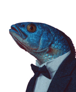 Blue Tuxedo Fish Vinyl Car Decal Sticker – Waterproof & UV-Resistant 8.0"