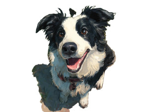 Lovely Dog V5 Vinyl Car Decal Sticker – Waterproof & UV-Resistant 3.0933333333333333"