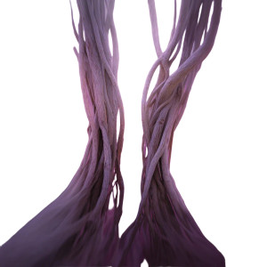 Dreamy Tree Roots Vinyl Car Decal Sticker – Waterproof & UV-Resistant 3.4133333333333336"