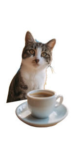 Happy Café Cat Vinyl Car Decal Sticker – Waterproof & UV-Resistant 4.8533333333333335"